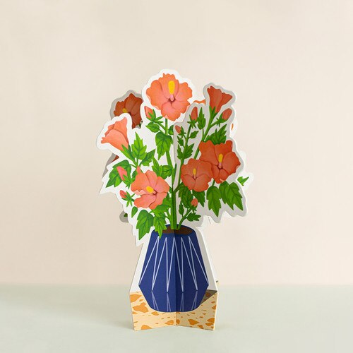 Hibiscus Paper Plant 1